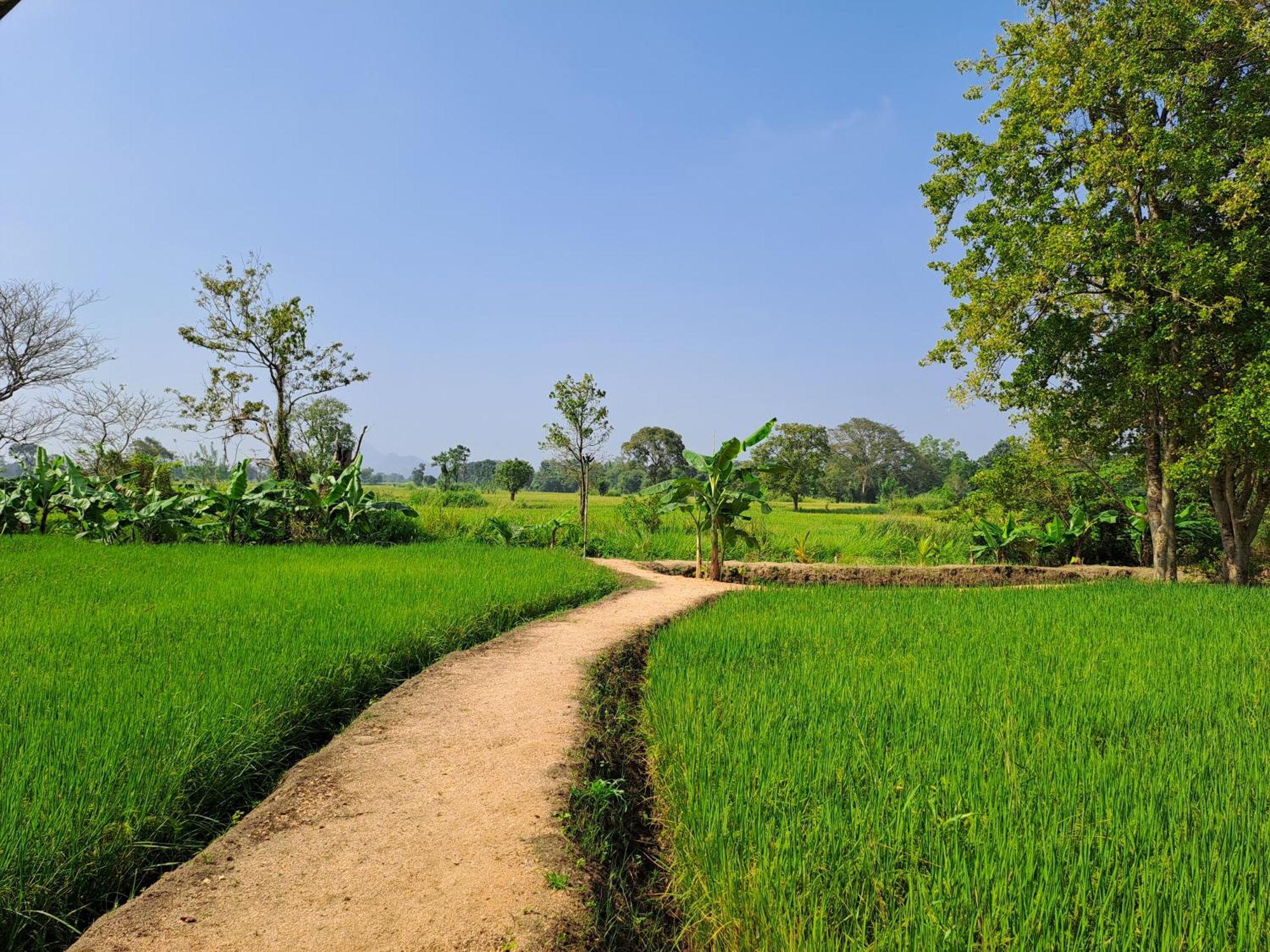 The Nature Park Villa Sigiriya Exterior photo