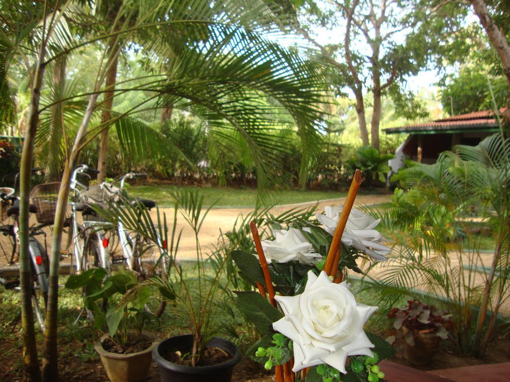 The Nature Park Villa Sigiriya Exterior photo